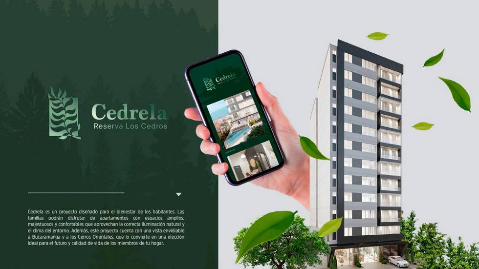 Caso Cedrela — Reserva Los Cedros, branding inmobiliario